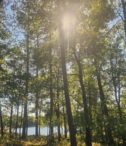 $340,000 | Xxx Xxx County Road, Danbury, WI 54830