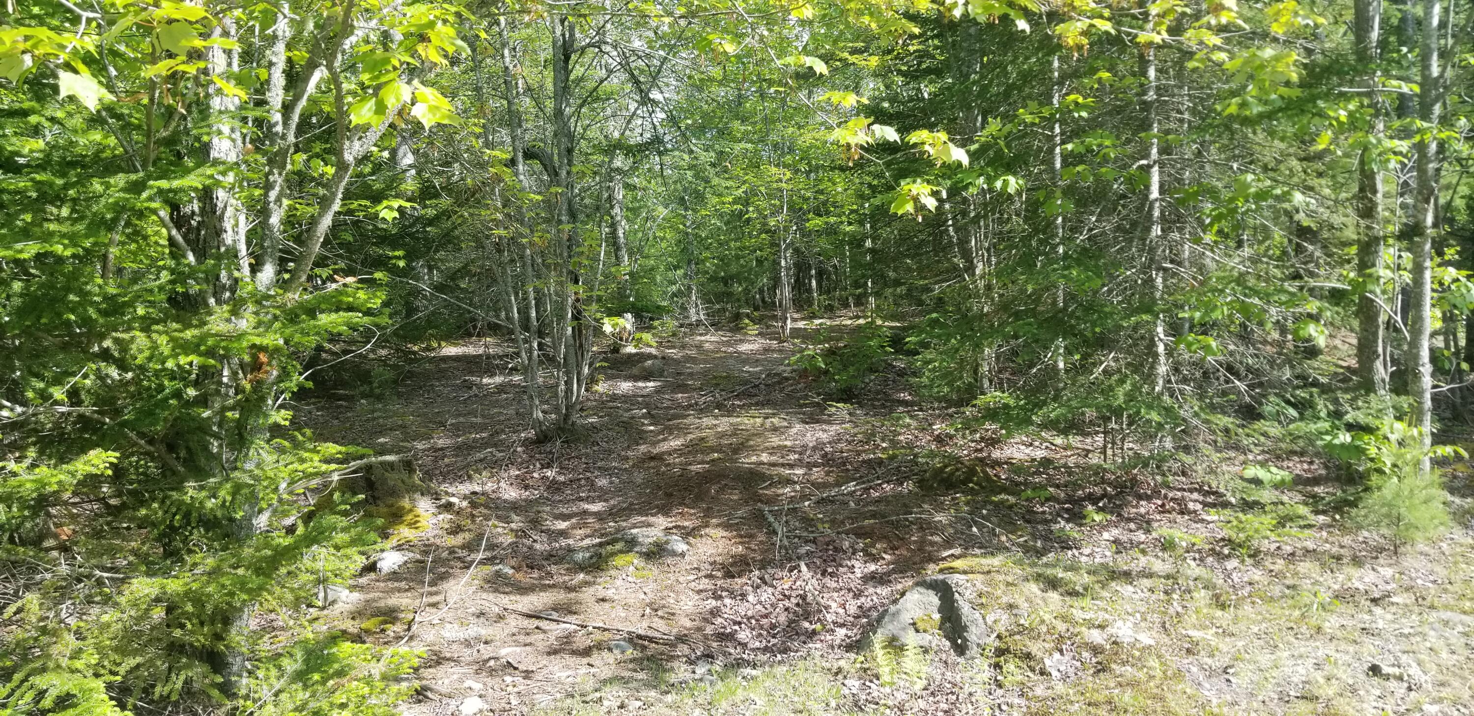 M112-l007 Bangor Road Ellsworth, ME 04605 - Photo 16 of 26 20210601_160121