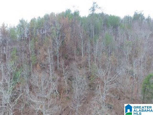 224 County Road, Unit 42 Piedmont, AL 36272 - Photo 3 of 7
