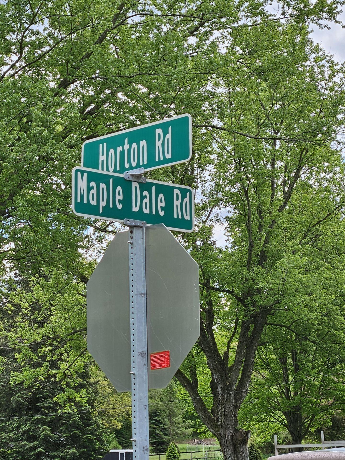 Vl Horton Road Jackson, MI 49201 - Photo 1 of 5 123_1