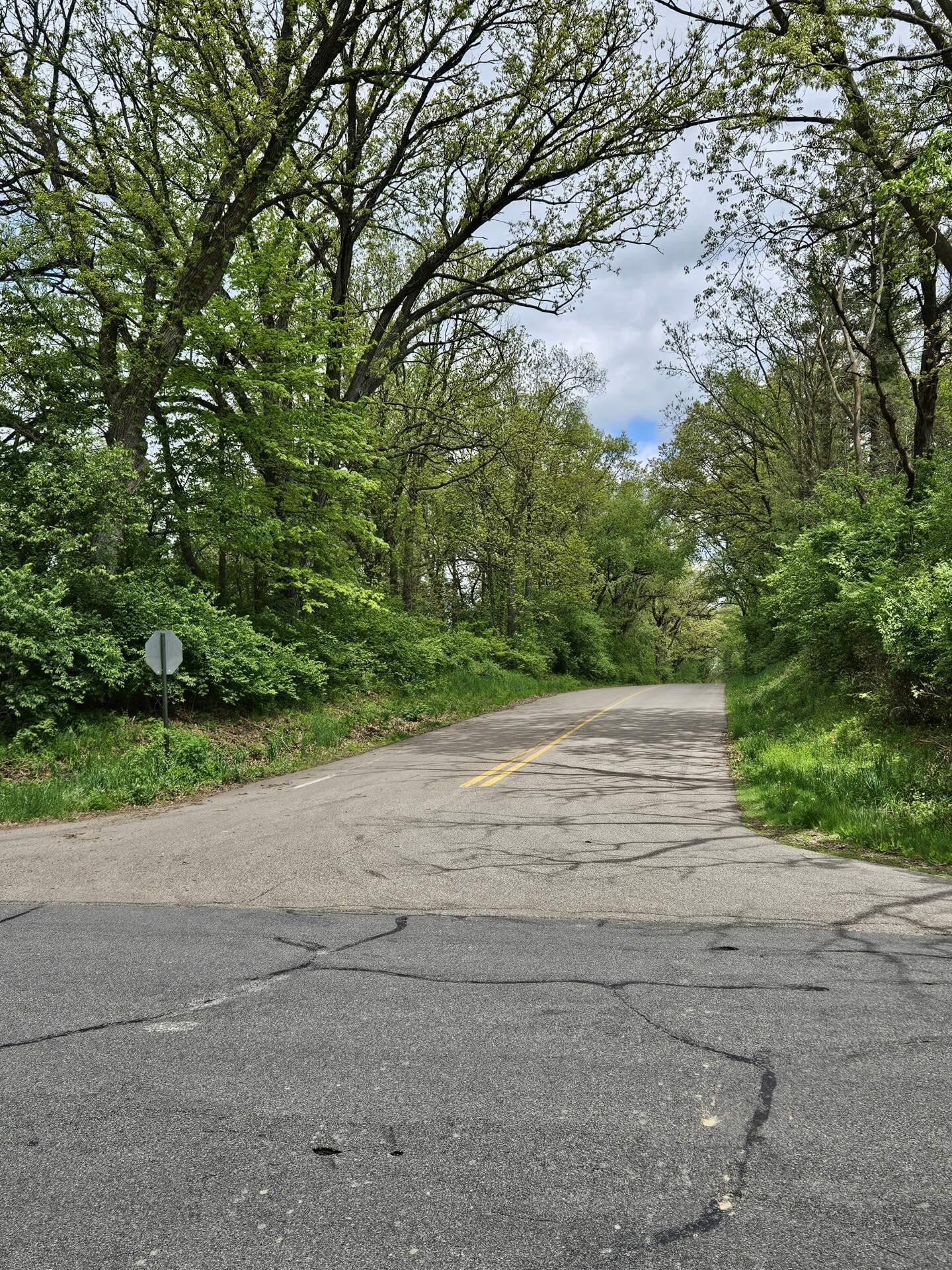 Vl Horton Road Jackson, MI 49201 - Photo 2 of 5 123_1