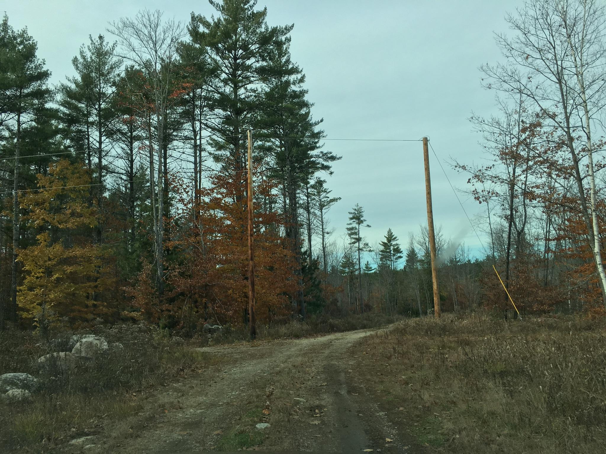 15-acres Convene Road Sebago, ME 04029 - Photo 6 of 12 488EB3A3-1247-478C-85D6-7560F09AA49E