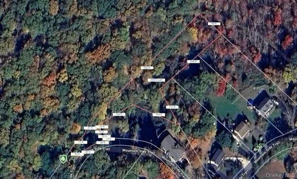 a view of empty yard with trees
