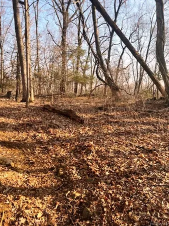 a view of empty yard