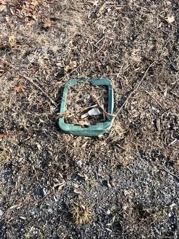 $59,000 | Lot 7 Mountainside Trail, Cortlandt Manor, NY 10567