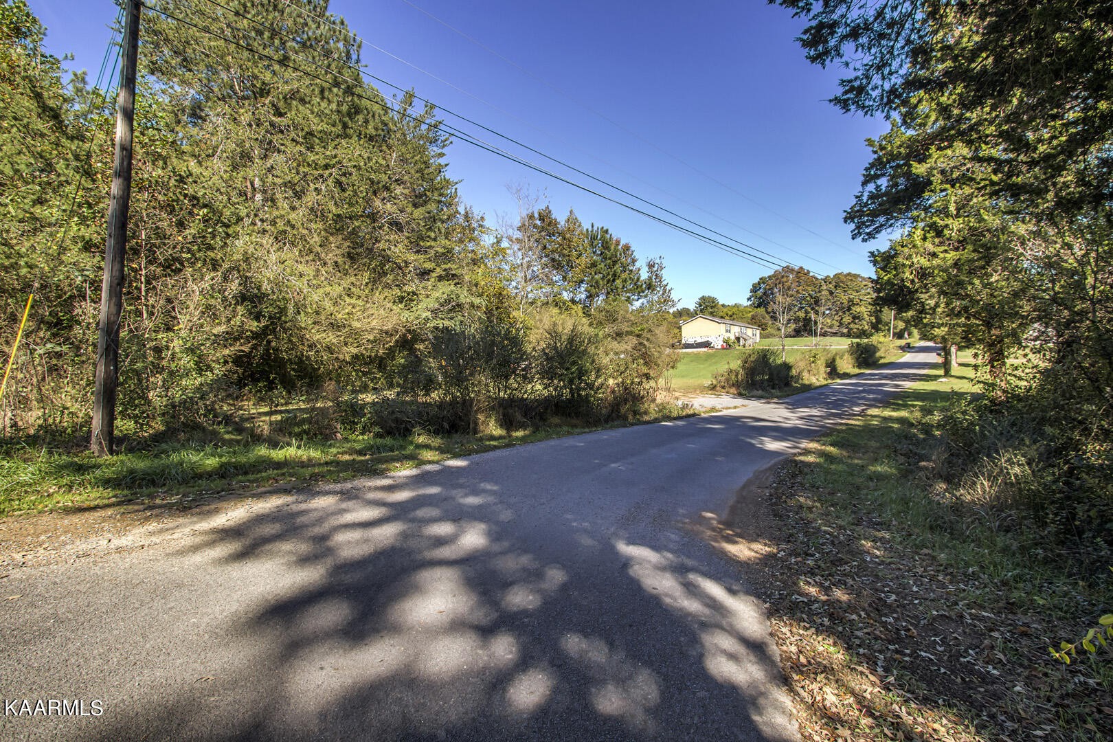 0 County Road 124 Athens, TN 37303 - Photo 2 of 13 a view of a yard with plants and trees