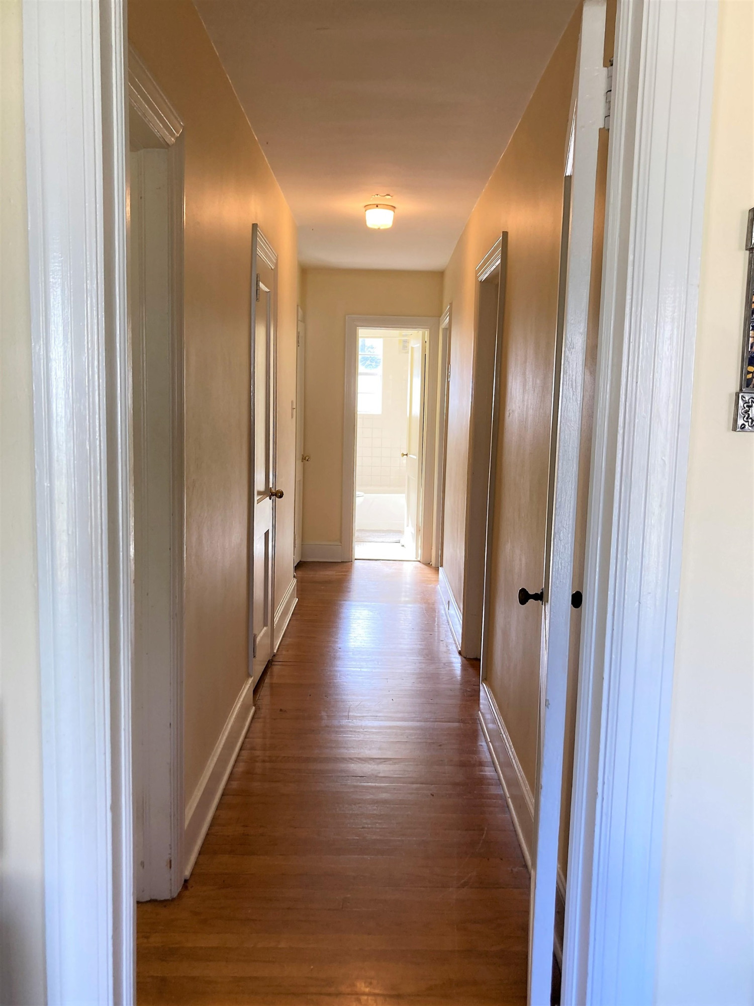 2709 Everett Avenue Raleigh, NC 27607 - Photo 3 of 29 Come on In