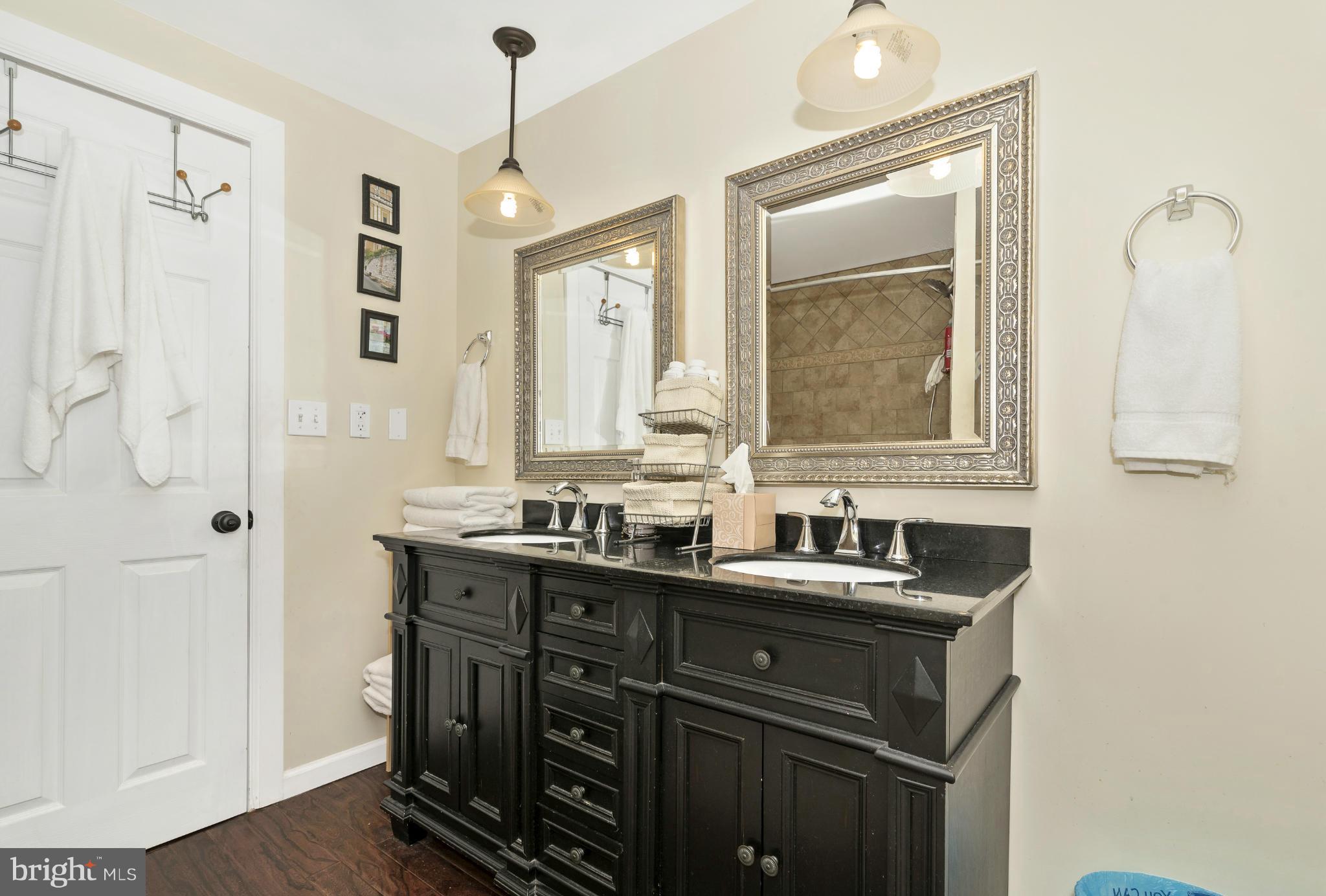 8341 Reno Monument Road Middletown, MD 21769 - Photo 18 of 30 Bath (Master)