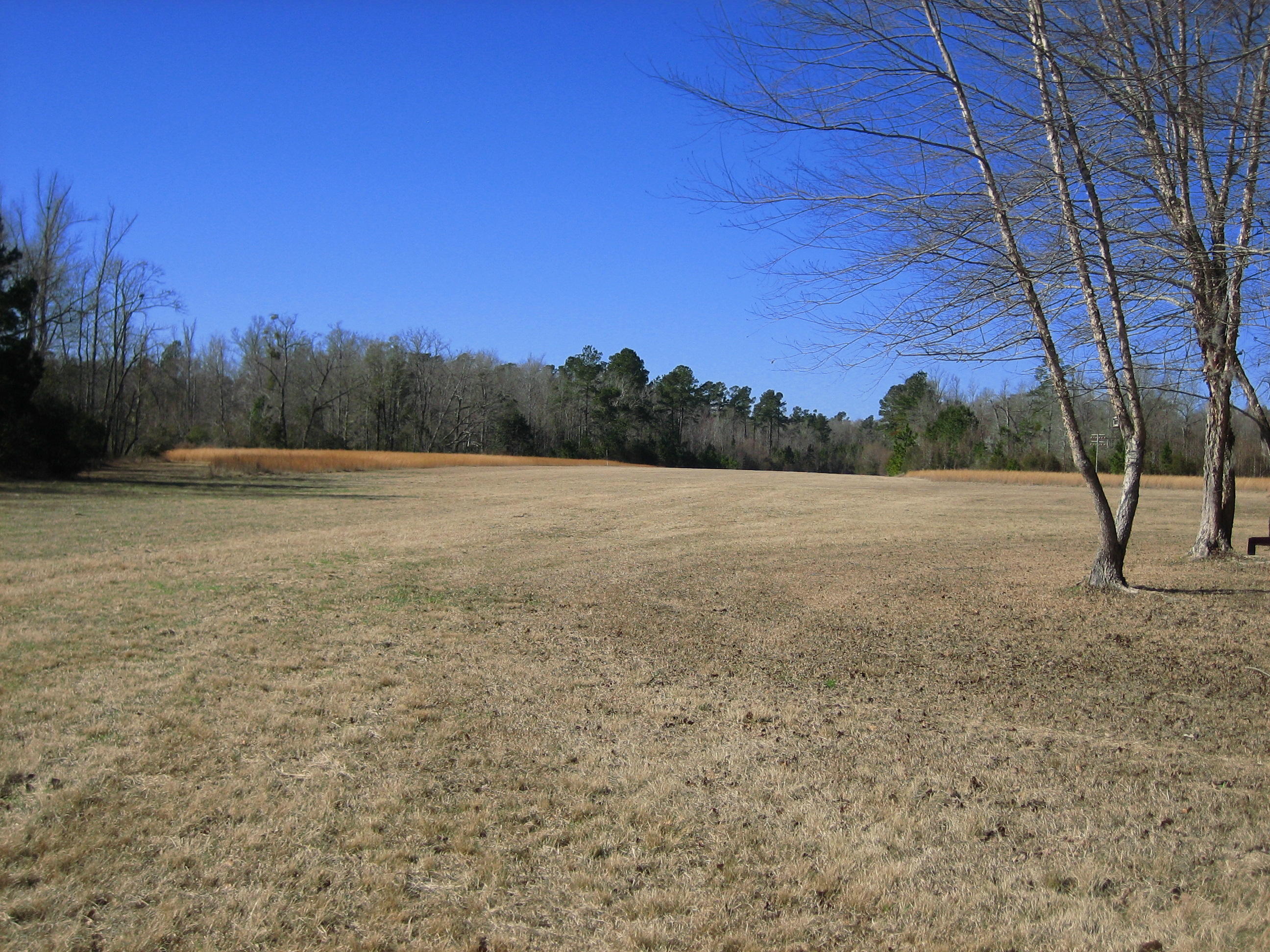 1323 Clatty Farm Road Ruffin, SC 29475 - Photo 1 of 25 Clatty Farm road 1323-9