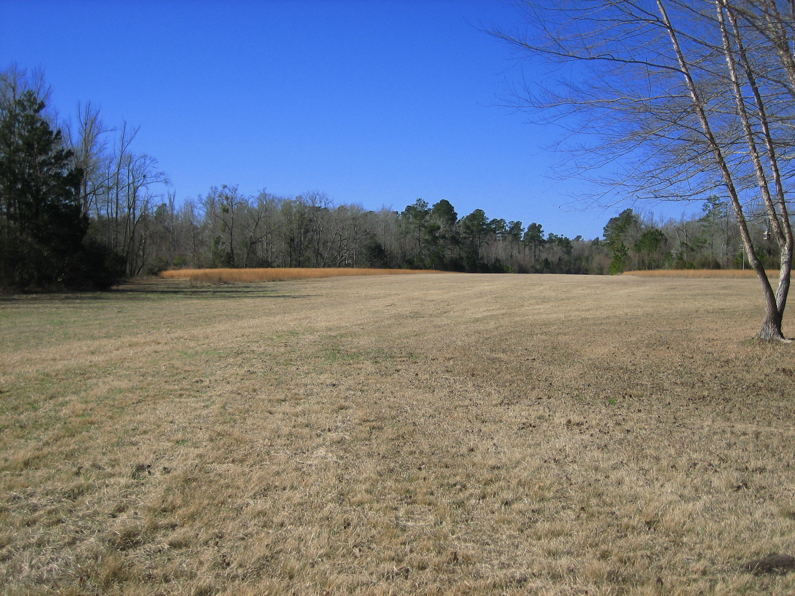 1323 Clatty Farm Road Ruffin, SC 29475 - Photo 12 of 25 Clatty Farm Road 1323-12
