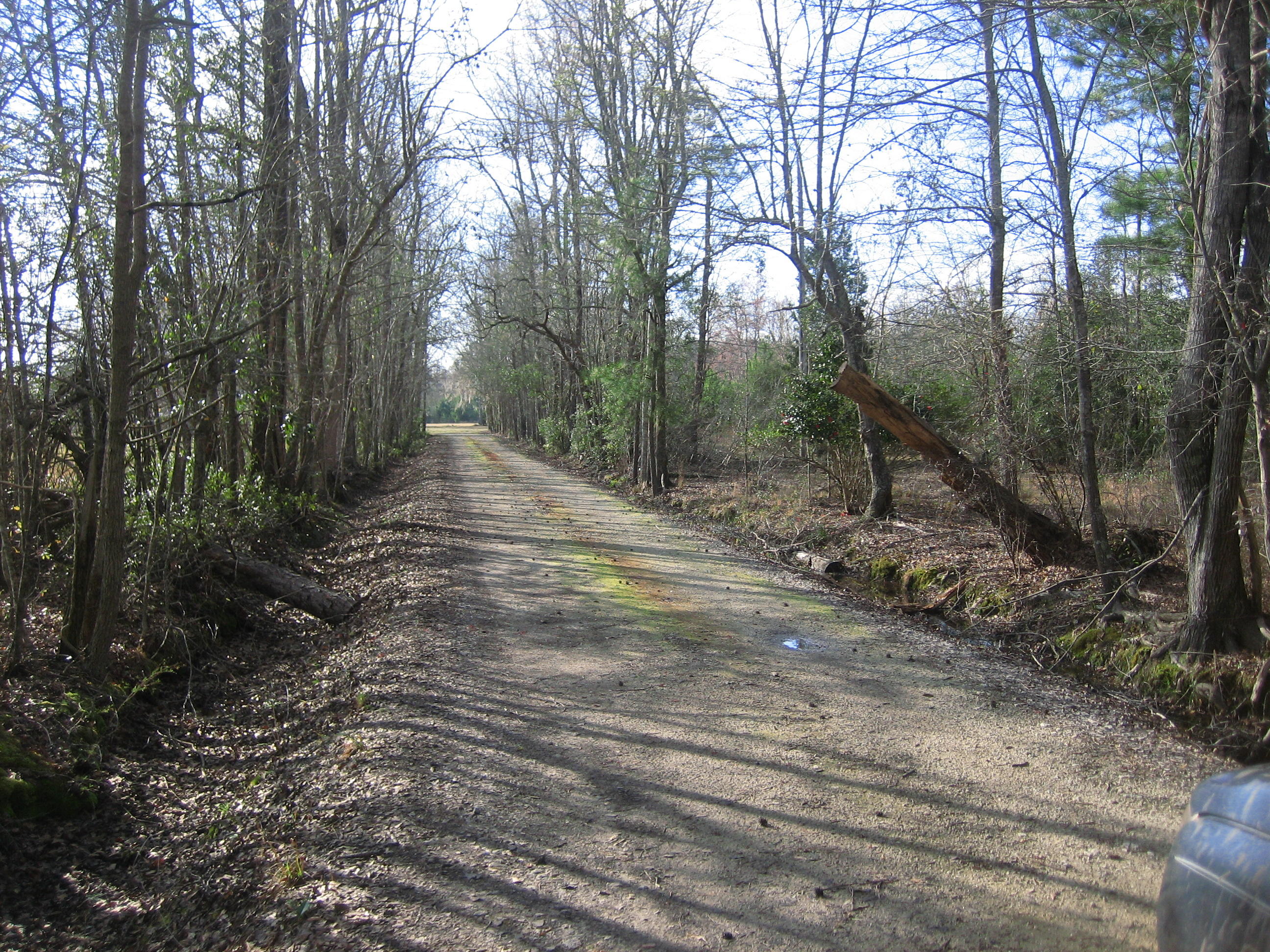 1323 Clatty Farm Road Ruffin, SC 29475 - Photo 18 of 25 Clatty Farm Rd