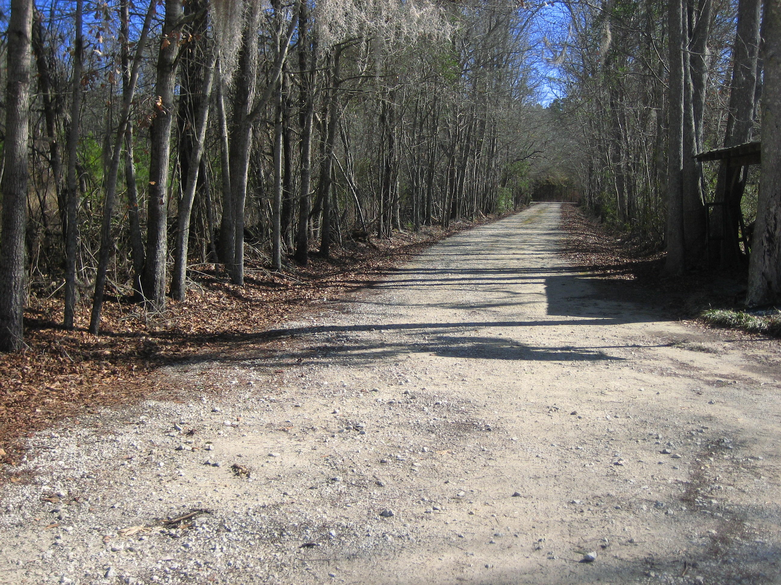 1323 Clatty Farm Road Ruffin, SC 29475 - Photo 19 of 25 Clatty Farm Road