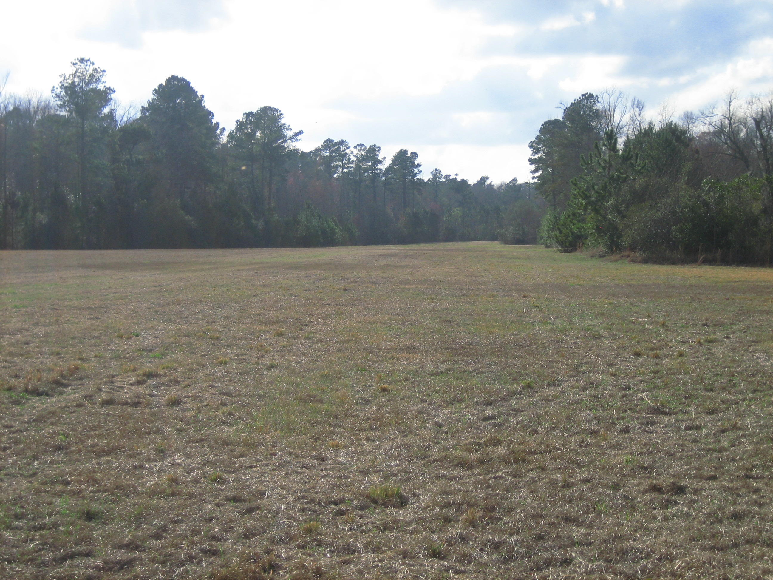 1323 Clatty Farm Road Ruffin, SC 29475 - Photo 21 of 25 Clatty Farm Rd