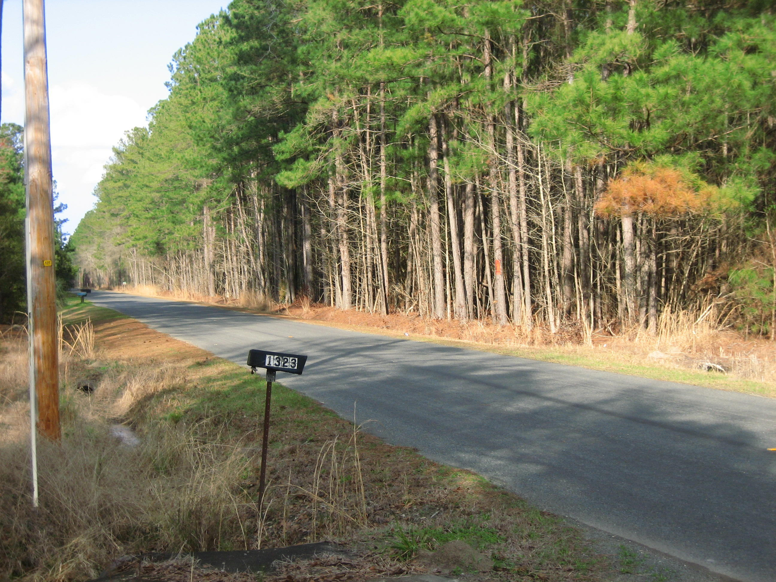 1323 Clatty Farm Road Ruffin, SC 29475 - Photo 24 of 25 Clatty Farm Rd