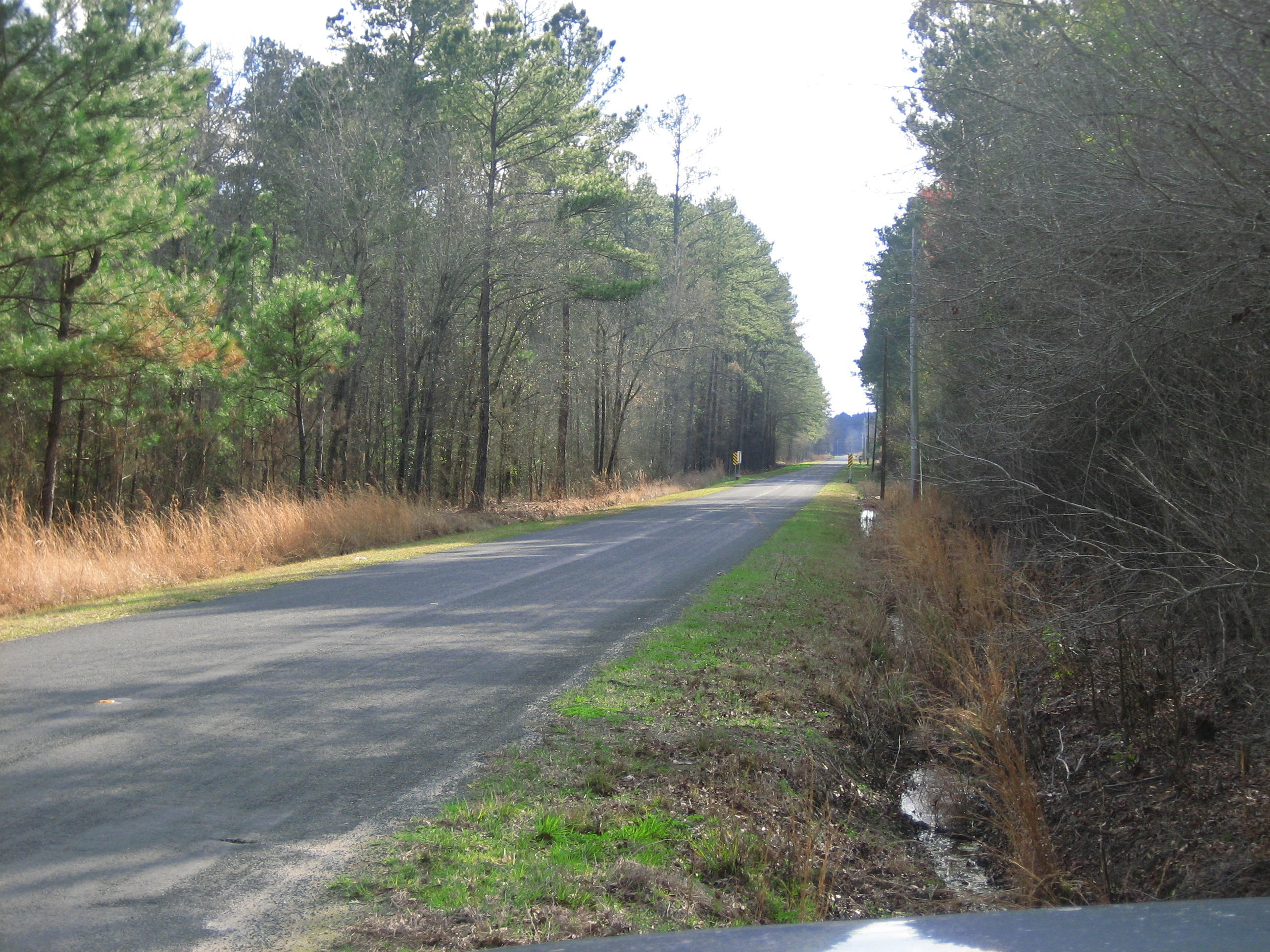 1323 Clatty Farm Road Ruffin, SC 29475 - Photo 25 of 25 Clatty Farm Rd