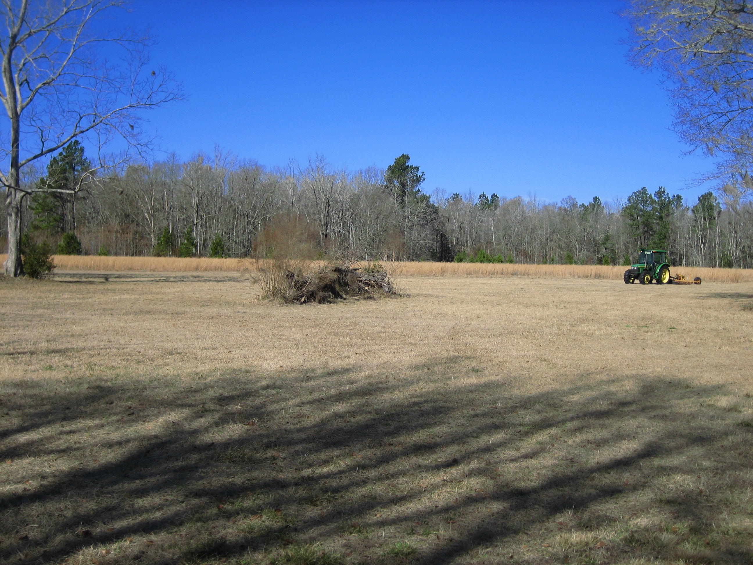 1323 Clatty Farm Road Ruffin, SC 29475 - Photo 10 of 25 Clatty Farm Rd