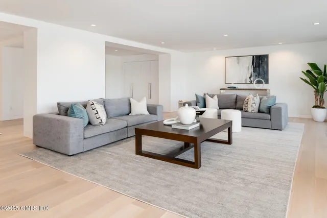 a living room with furniture and a potted plant