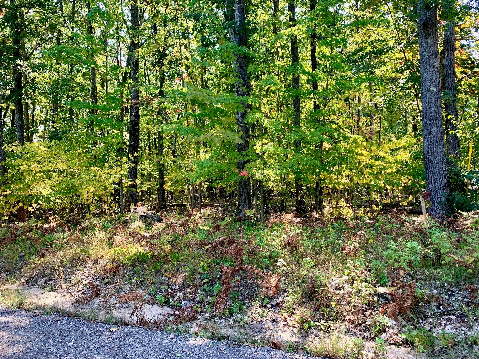 305 Summit Road Roscommon, MI 48653 - Photo 2 of 14 Gallery Image 2