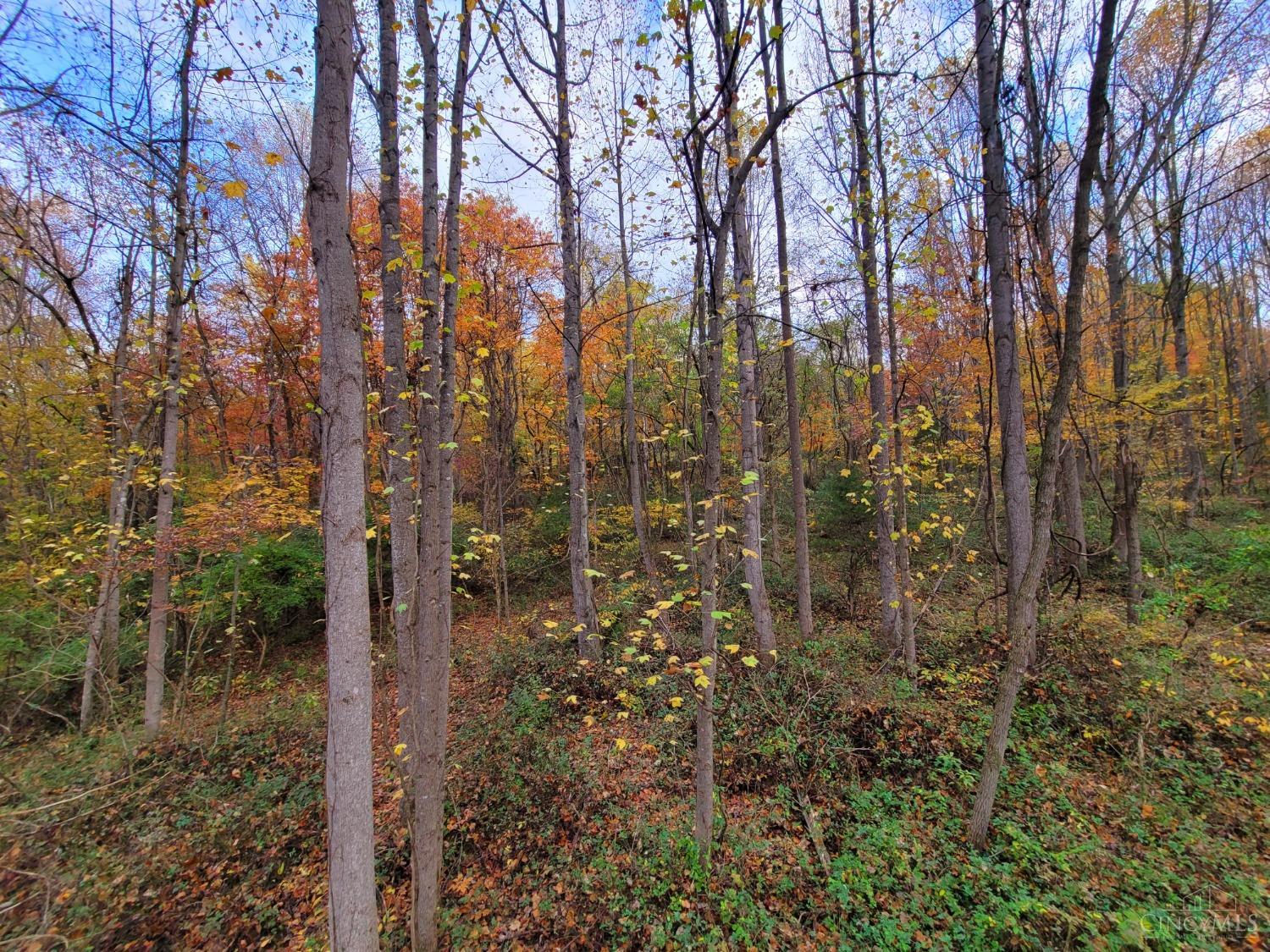 Ac Laurel-Moscow Road Moscow, OH 45153 - Photo 20 of 29 Gallery Image 20