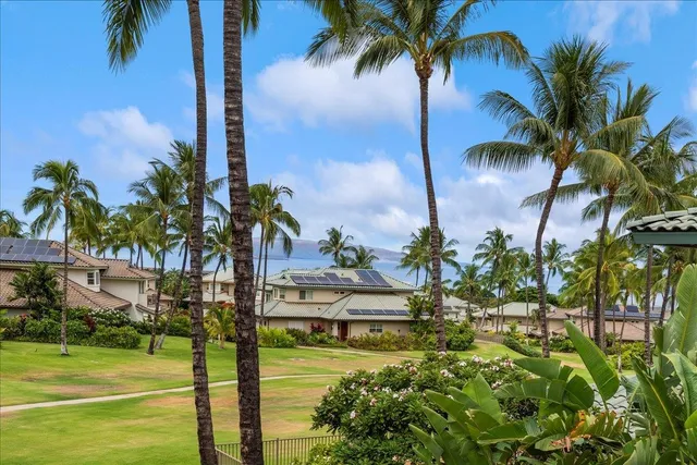 a view of a yard with palm trees