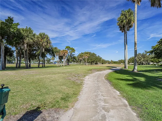 a view of a park with palm trees