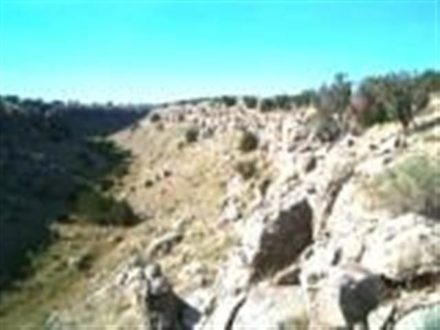 Lot 459 Chevelon Canyon Ranch Heber, AZ 85928 - Photo 1 of 7