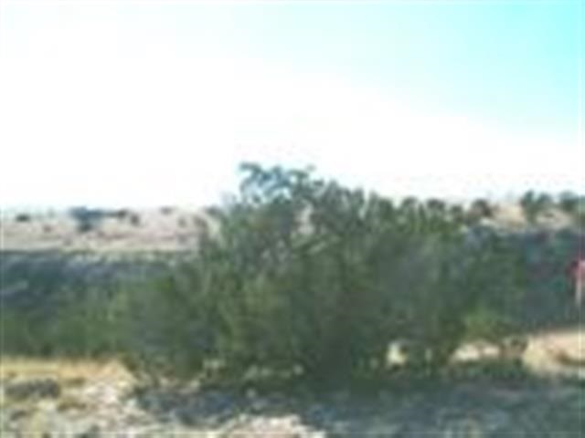 Lot 459 Chevelon Canyon Ranch Heber, AZ 85928 - Photo 2 of 7