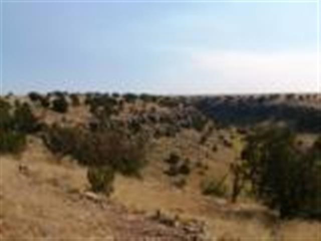 Lot 459 Chevelon Canyon Ranch Heber, AZ 85928 - Photo 3 of 7
