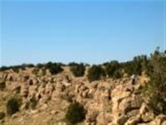 Lot 459 Chevelon Canyon Ranch Heber, AZ 85928 - Photo 4 of 7