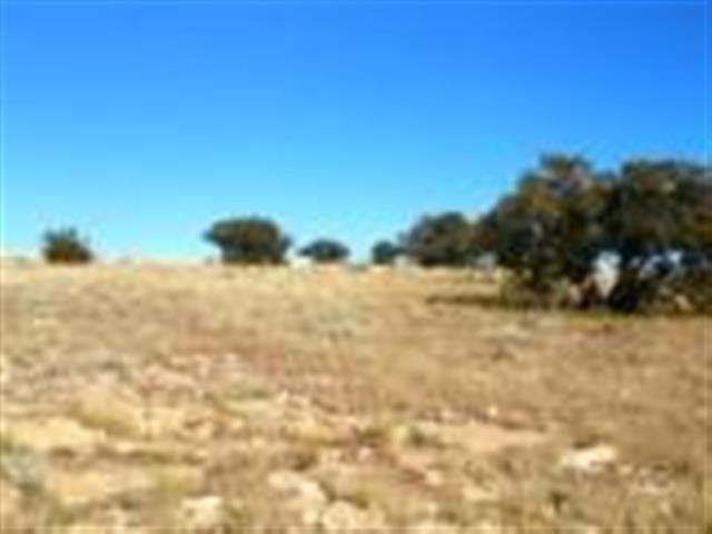 Lot 459 Chevelon Canyon Ranch Heber, AZ 85928 - Photo 5 of 7