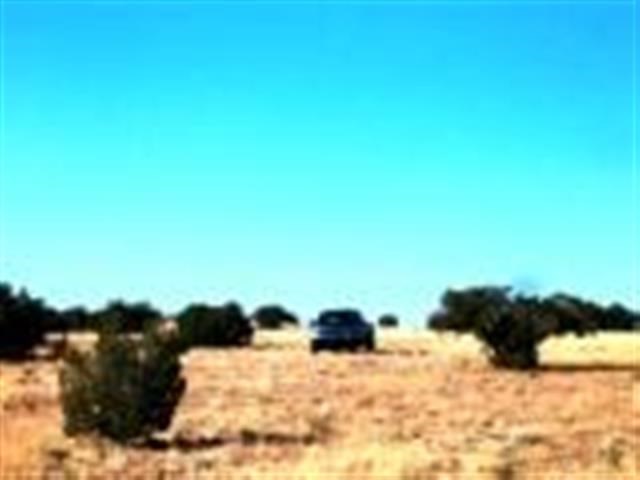 Lot 459 Chevelon Canyon Ranch Heber, AZ 85928 - Photo 6 of 7