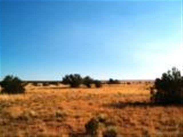 Lot 459 Chevelon Canyon Ranch Heber, AZ 85928 - Photo 7 of 7
