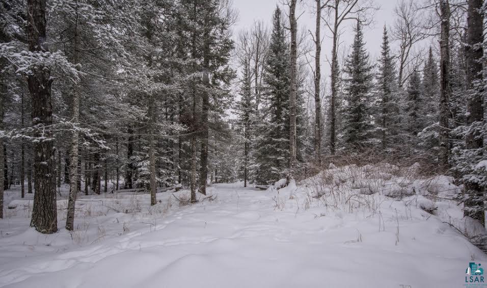 119 Copperhead Road Duluth, MN 55804 - Photo 17 of 18