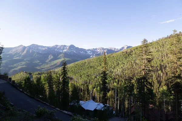 a view of a forest with a mountain