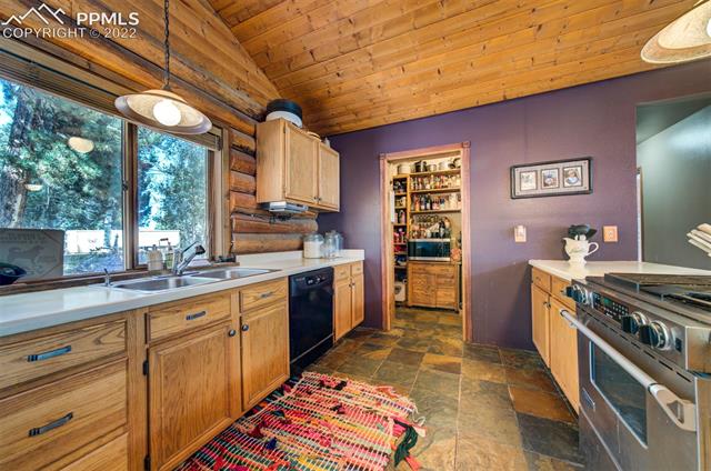 396 Ridge Road Divide, CO 80814 - Photo 26 of 40 Gallery Image 26