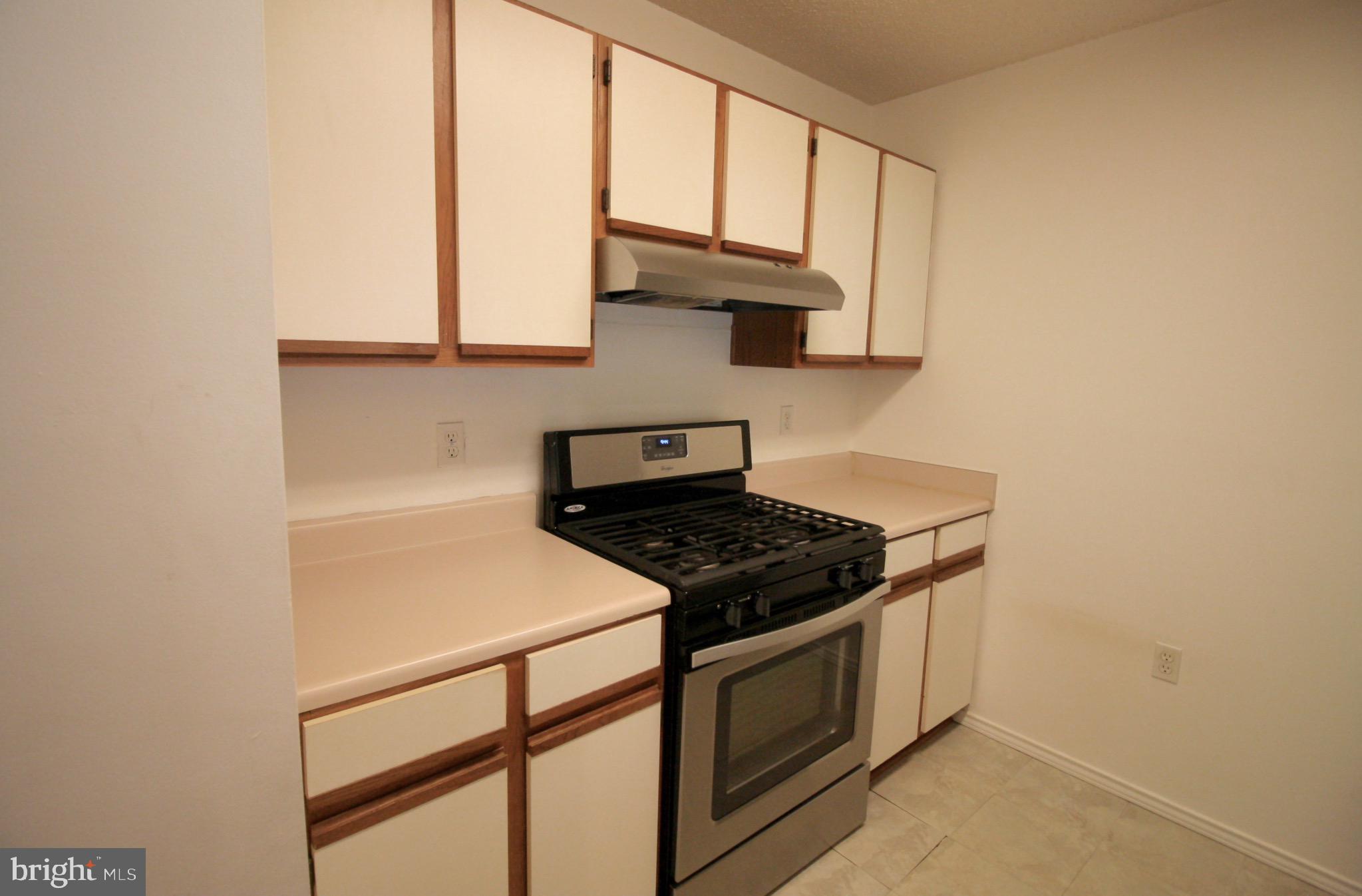 21009 Timber Ridge Terrace, Unit 101 Ashburn, VA 20147 - Photo 10 of 27 Gas stove