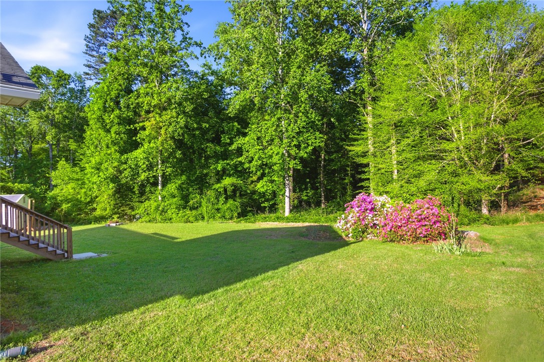 104 Indian Trail Road Seneca, SC 29672 - Photo 39 of 46