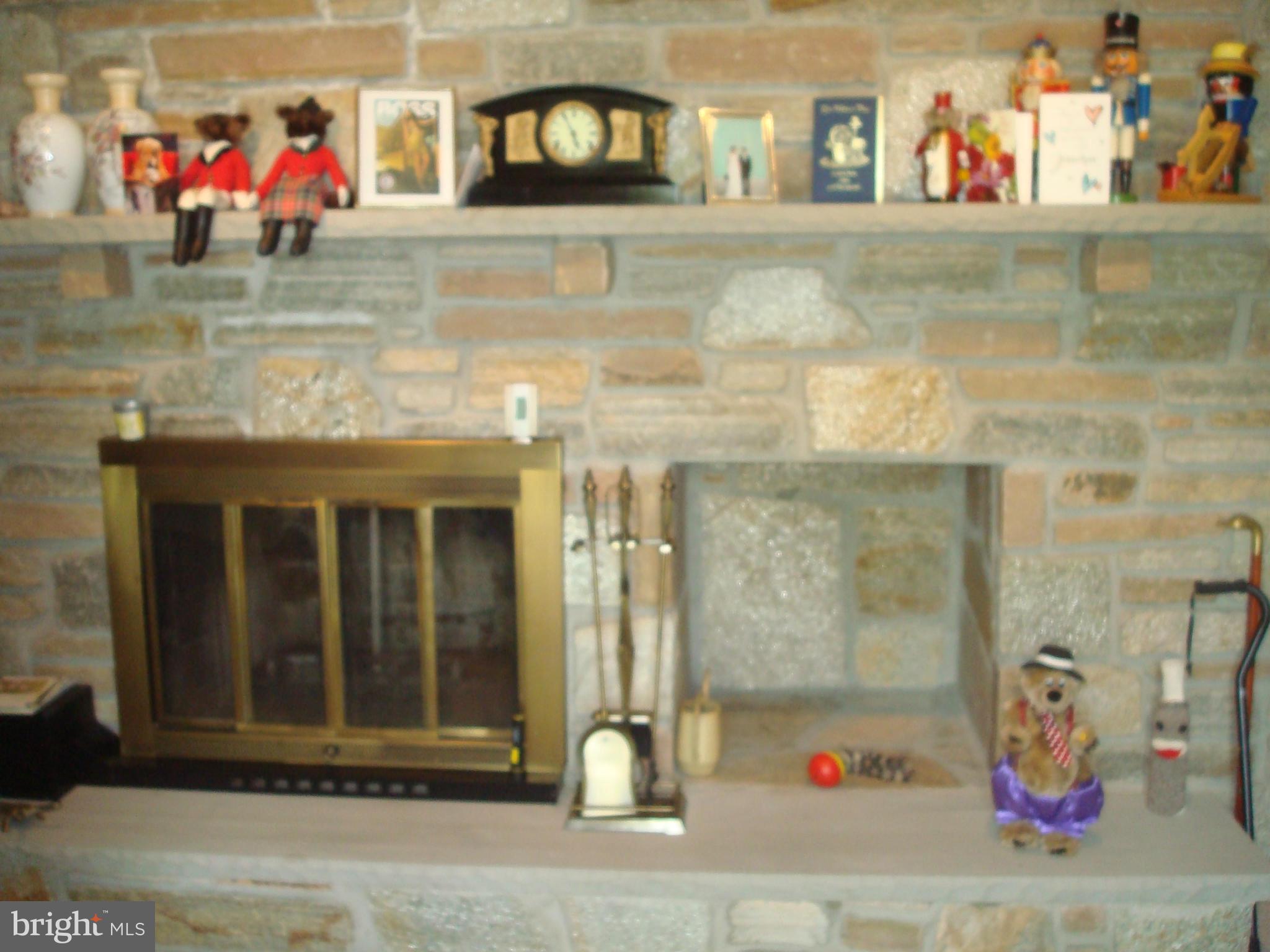 4554 Lower Beckleysville Road Hampstead, MD 21074 - Photo 3 of 30 Family Room
