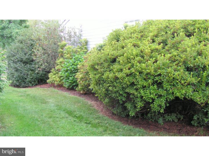 203 Cable Car Road Quakertown, PA 18951 - Photo 14 of 25 Side Yard