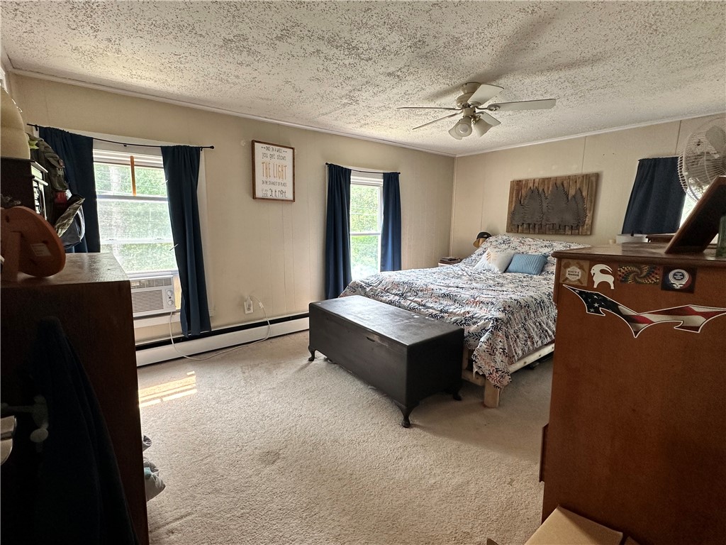 284 Nys Rte Port Port Crane, NY 13833 - Photo 15 of 18