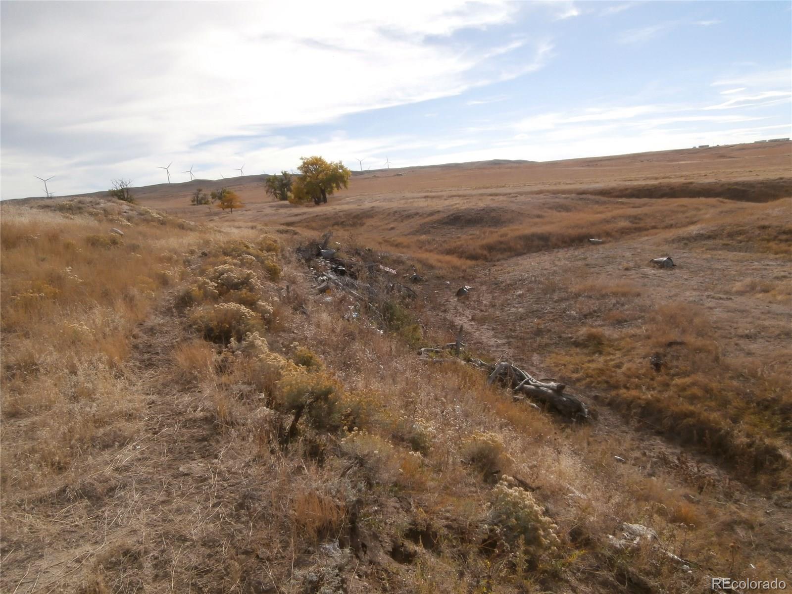 206 South Ramah Dam Road Calhan, CO 80808 - Photo 4 of 17 Gallery Image 4