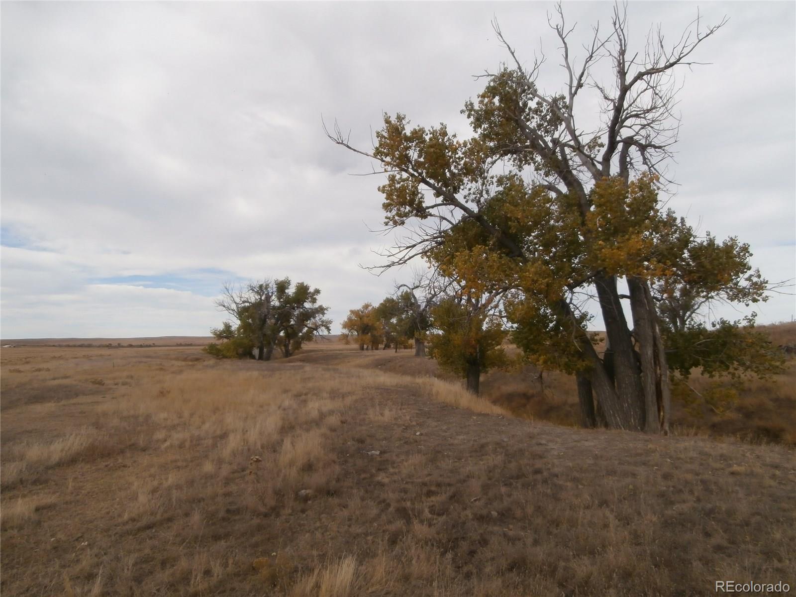 206 South Ramah Dam Road Calhan, CO 80808 - Photo 5 of 17 Gallery Image 5