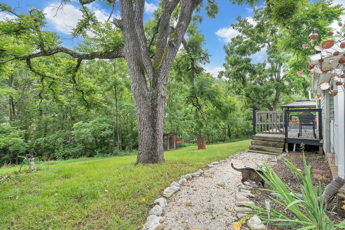28 TC Walker Road Millboro, VA 24460 - Photo 47 of 54 50