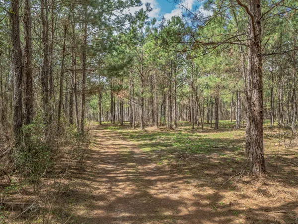 $875,000 | 9152 Hidden Creek Lane, Tallahassee, FL 32311