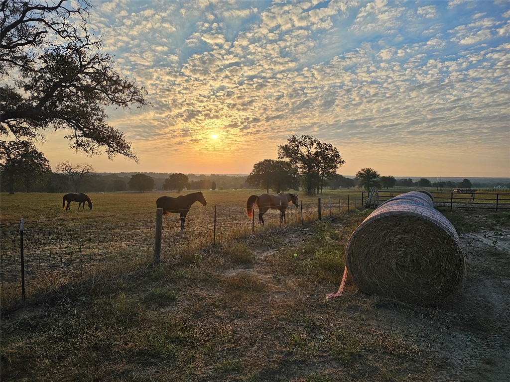 126 Abel Lane Elgin, TX 78621 - Photo 1 of 39