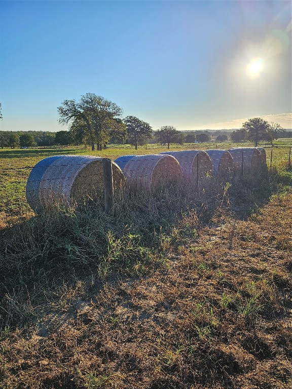 126 Abel Lane Elgin, TX 78621 - Photo 11 of 39