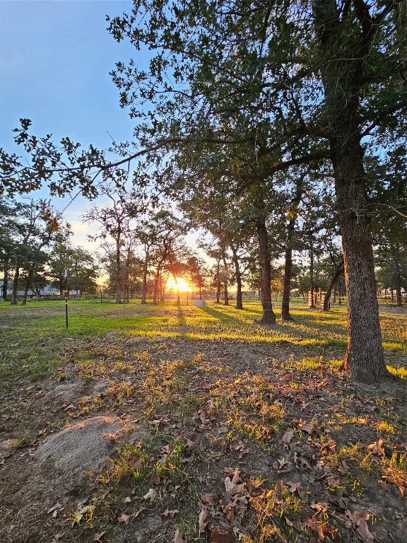 126 Abel Lane Elgin, TX 78621 - Photo 14 of 39
