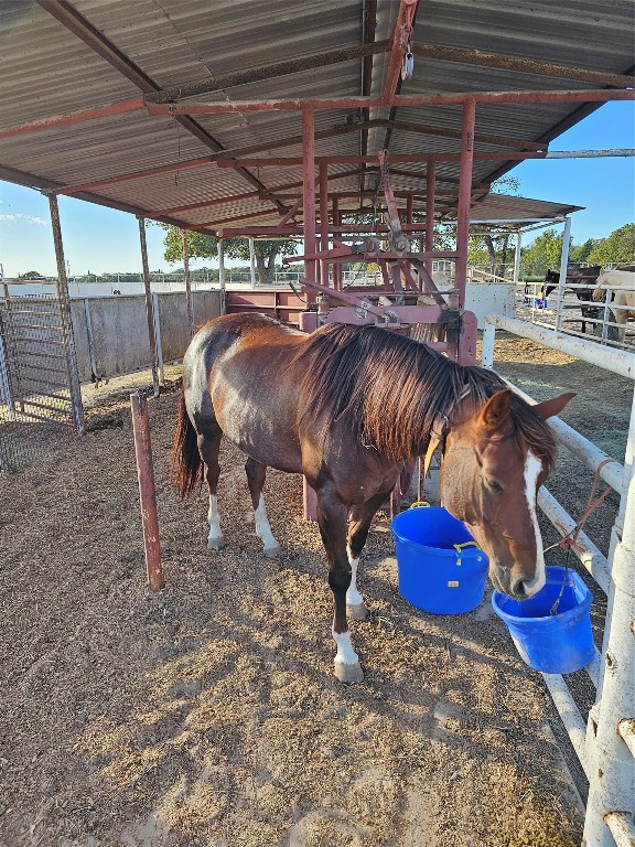 126 Abel Lane Elgin, TX 78621 - Photo 17 of 39