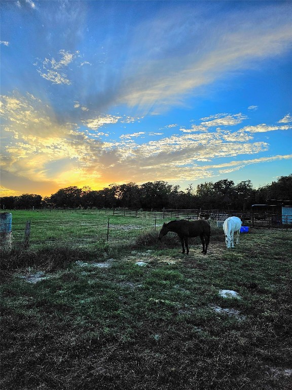 126 Abel Lane Elgin, TX 78621 - Photo 18 of 39