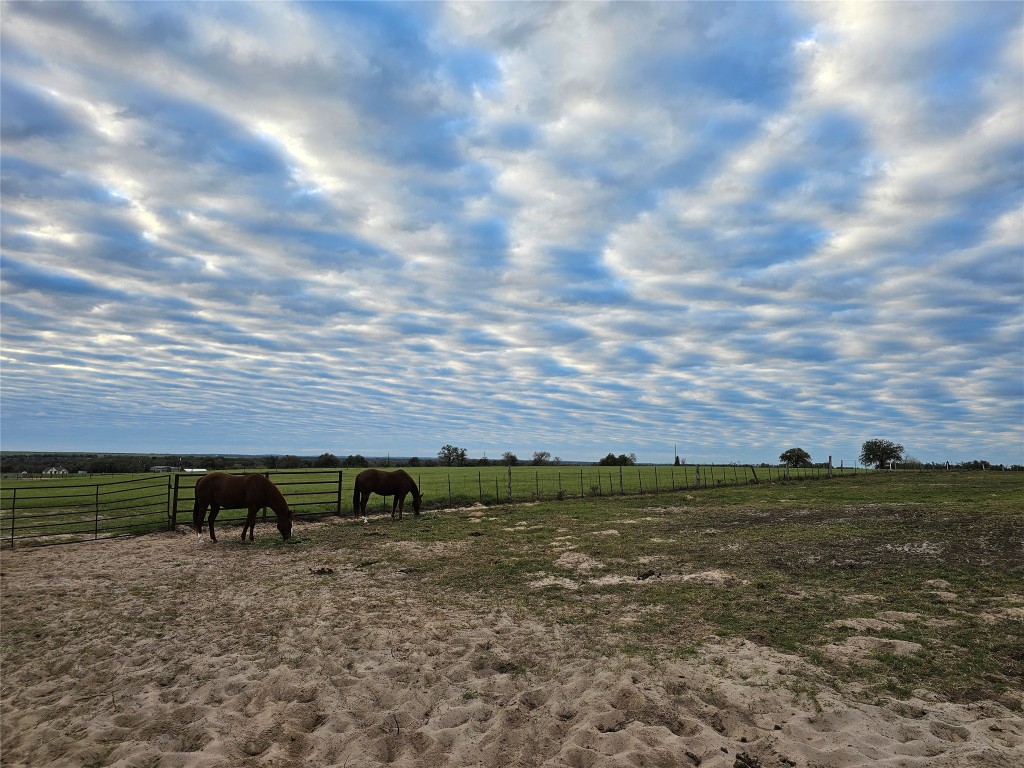 126 Abel Lane Elgin, TX 78621 - Photo 21 of 39